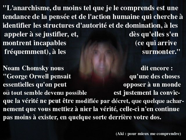 Chomsky-et-Orwell.jpg
