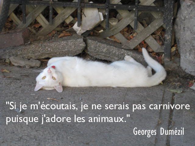 citations avec mot rencontre