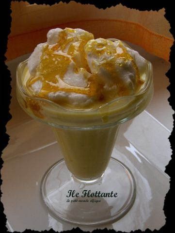 ile_20flottante1