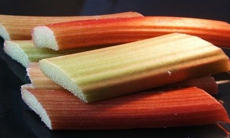 rhubarbe.21
