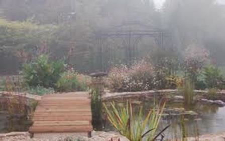 brouillard dans le jardin