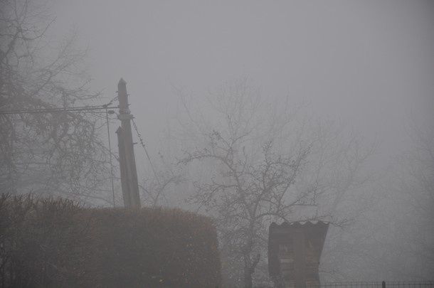 brouillard (6)
