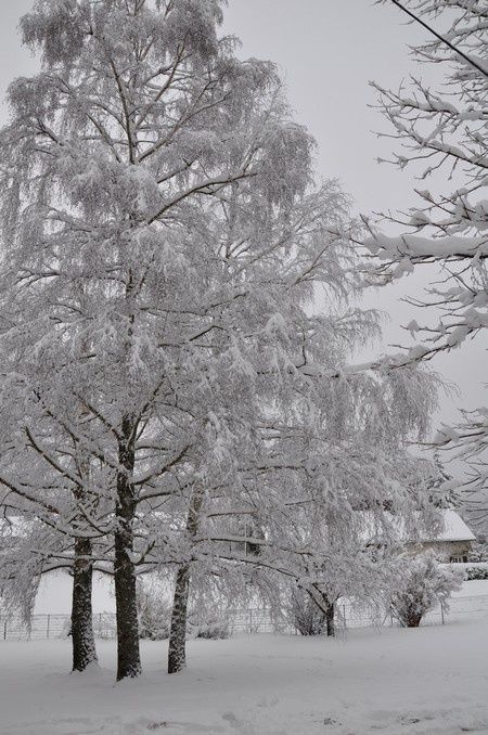 entre-blanc-et-gris-fevrier-2015 0566...