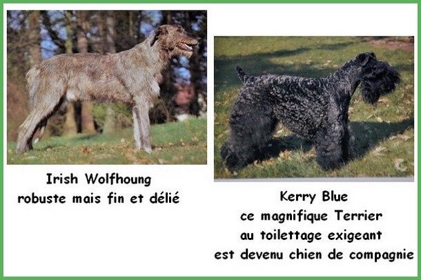 Sans titre 1...