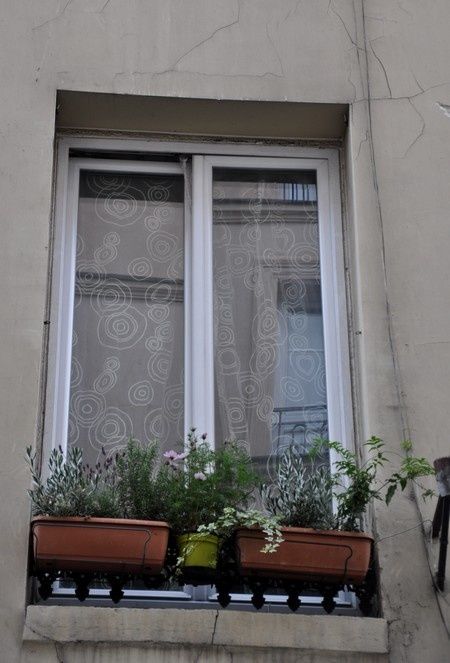 fenetres 0205