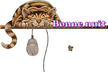 bloggif4979beb3bdbed.gif