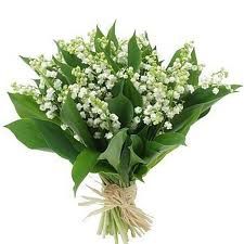 muguet