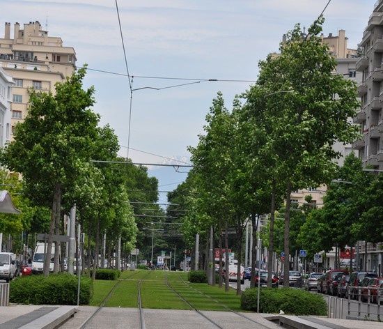 grenoble-montagnes 0379