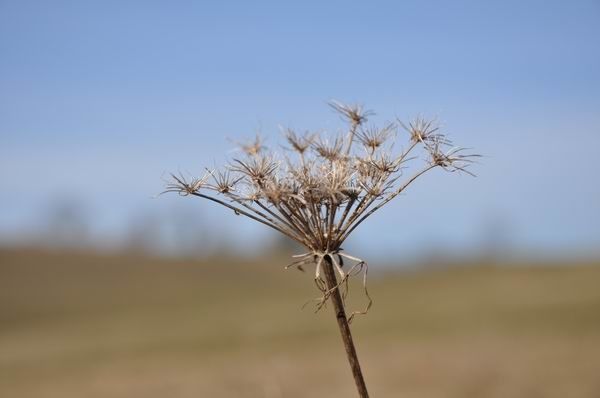 nature en février (1)