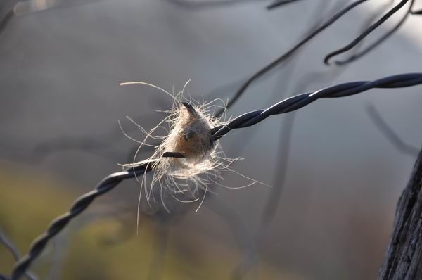 nature en février (23)