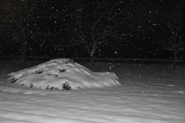 arbres-de-noel-chez-lylou 0721