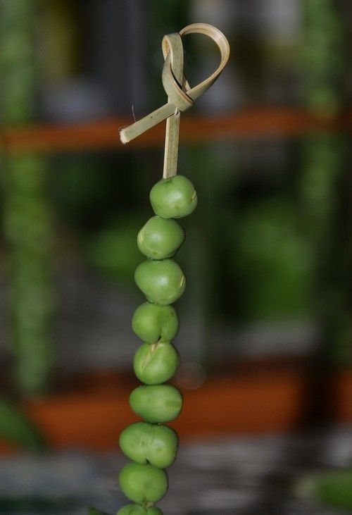 autour-d-un-legume 0193