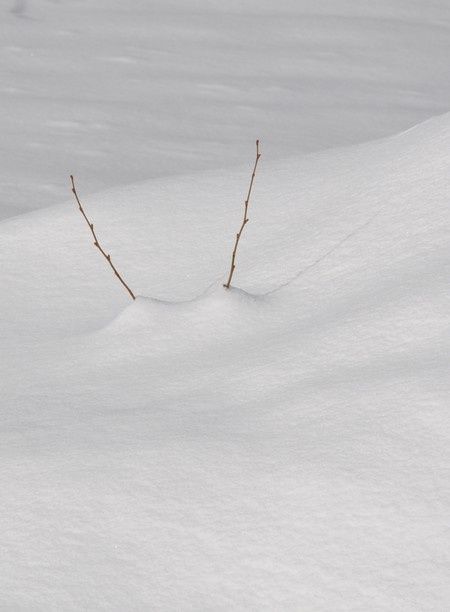 douceur-blanche 0886