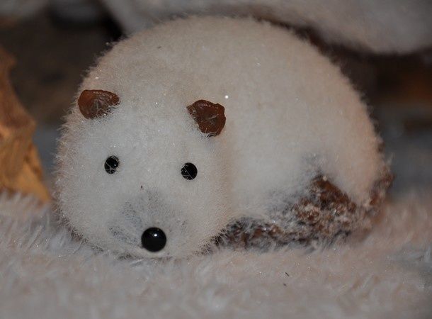 neige-et-bois 0763