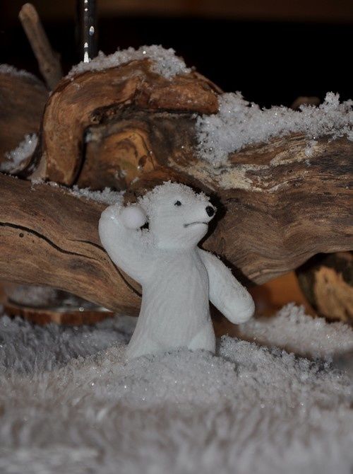 neige-et-bois 0780