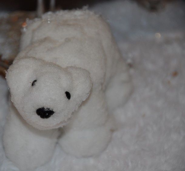 neige-et-bois 0831
