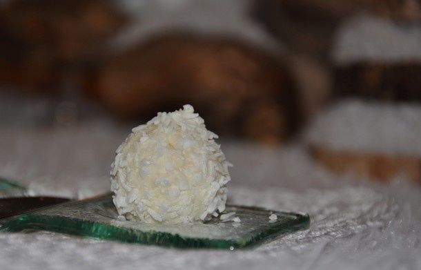 neige-et-bois 0837