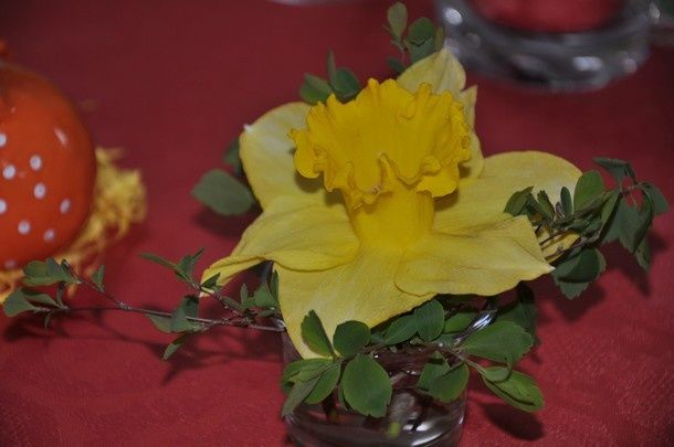 paques-poules-et-jonquilles 0027