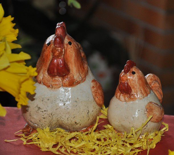 paques-poules-et-jonquilles 0066