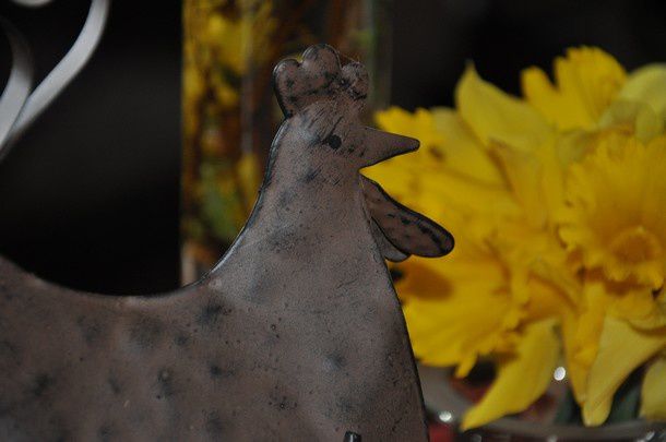 paques-poules-et-jonquilles 0069