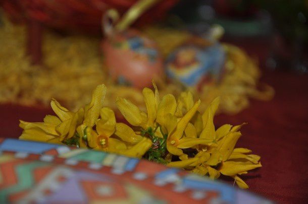 paques-poules-et-jonquilles 0095