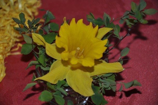paques-poules-et-jonquilles 0145