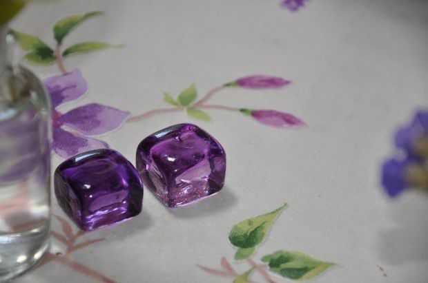 violet-fleuri 0172