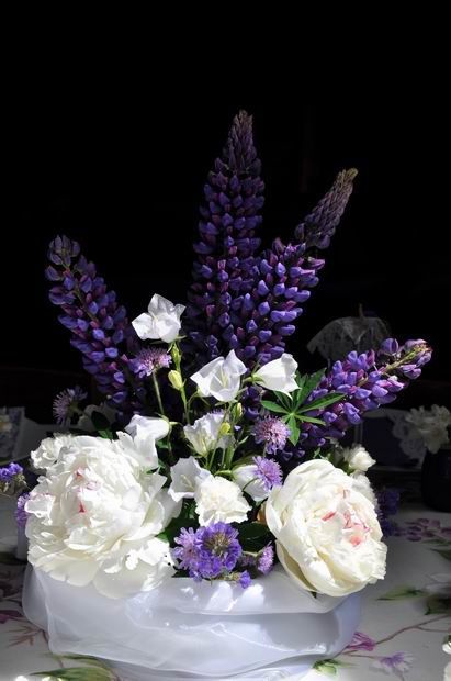 violet-fleuri 0239