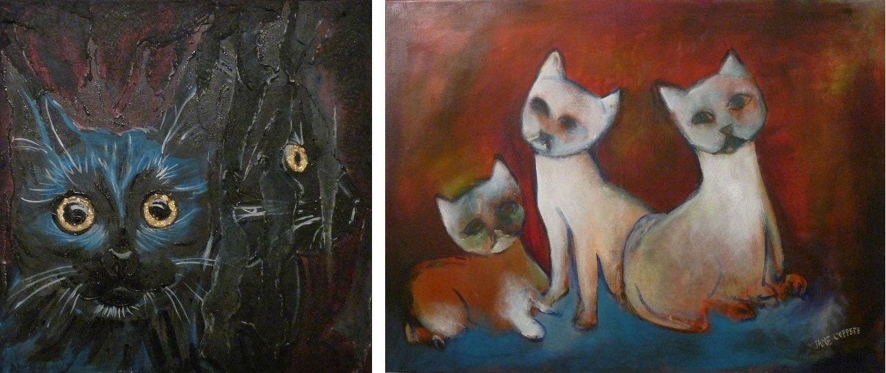 Chat rochefort