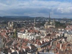 Dijon-photo-11.jpg