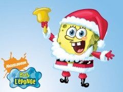 bob-25-1024x768.jpg