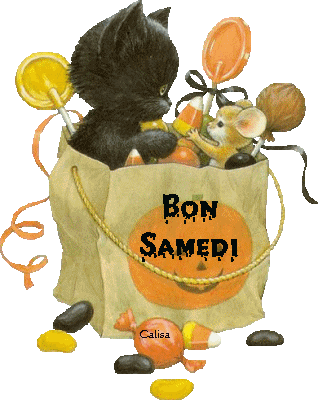 bon-samedi-chat-souris.gif