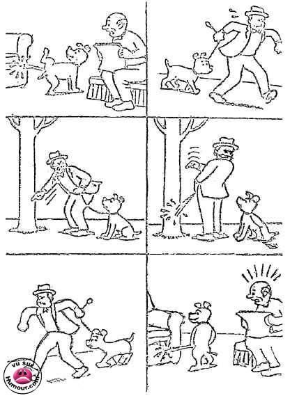 éducation du chien