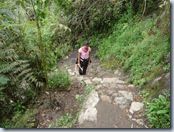Les -longues- marches du Wayna Picchu
