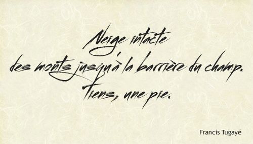 ~Streetbrush~ Neige intacte