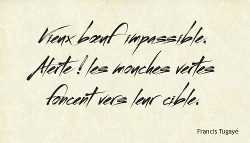 ~Streetbrush~ Vieux bœuf impassible+++