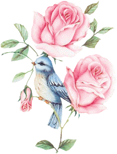 Roses et oiseau