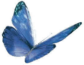 gif-papillon-19.gif