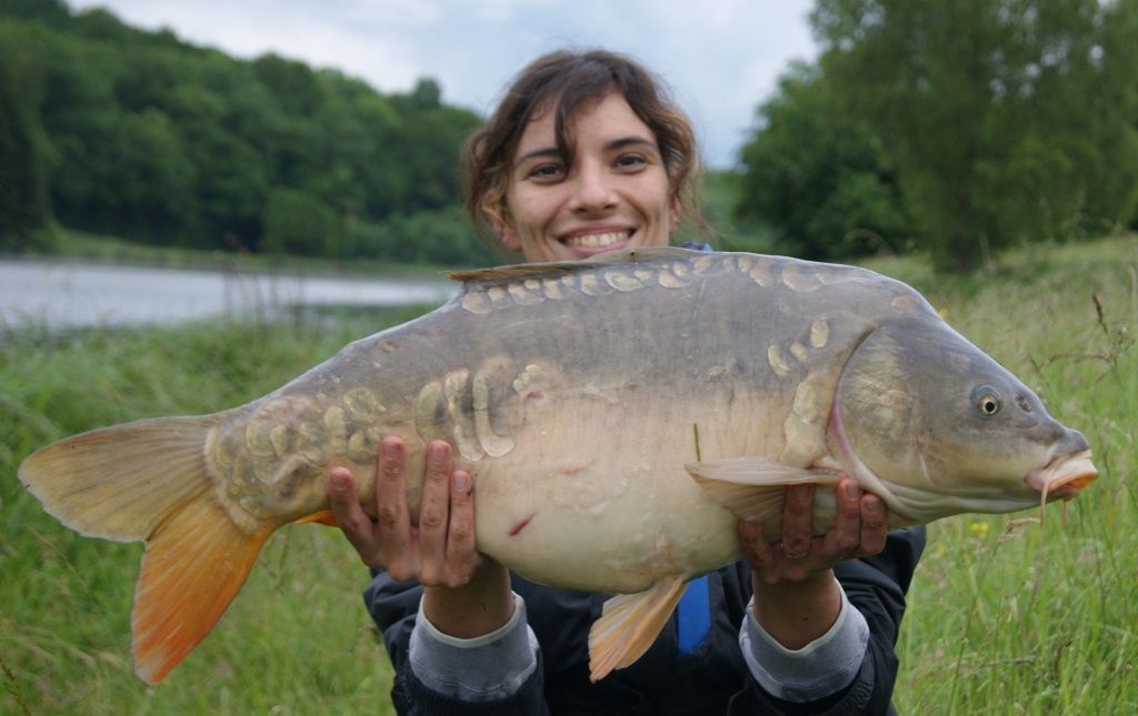 La pêche russe offlajn le cyprin
