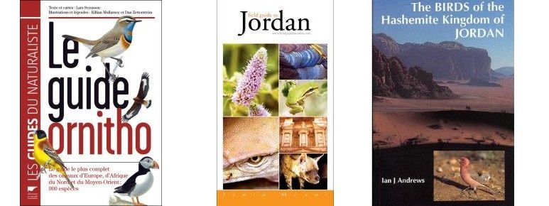 site de rencontre jordanien