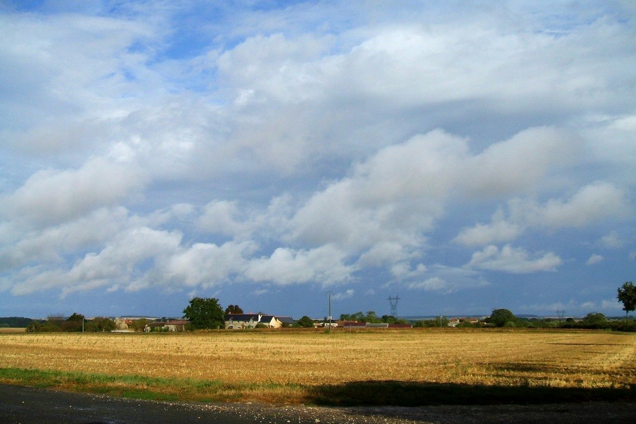 110912b.JPG