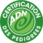 image Antagène certification pedigree