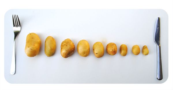 patates2.jpg
