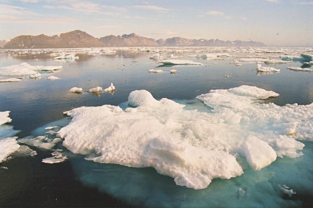 Glaces-flottantes---Copie-compressee-jpg