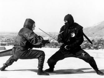 combat-entre-deux-ninjas_4f32a9b1c1bcd-p.jpg