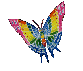 papillon061