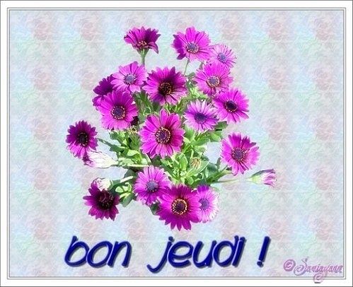 4-bon-jeudi-asters-violets-copie-1