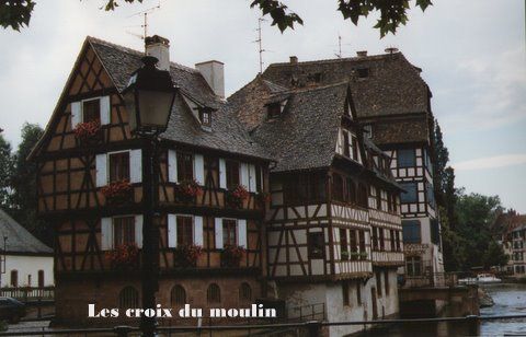 Alsace (9)