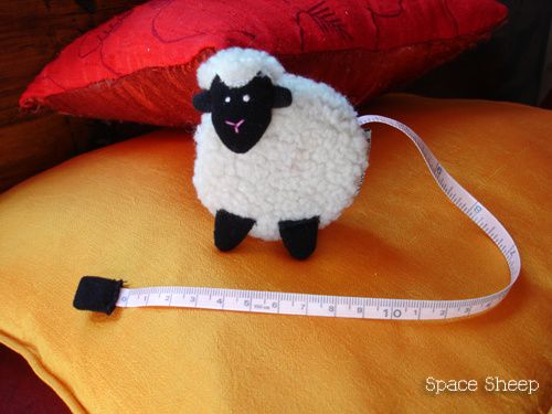 Tu-peux-acheter-un-mouton-metre-enrouleur-en-tout-copie-1.JPG