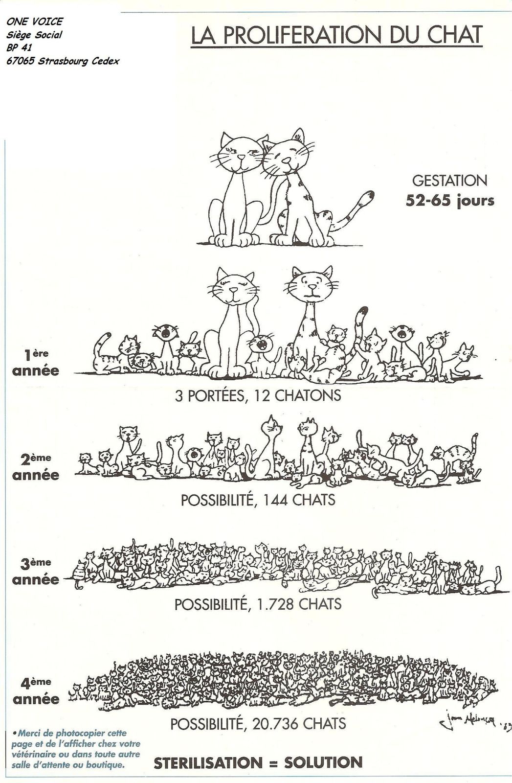 2 - Faites stériliser vos chats